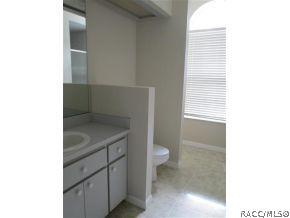 393 E Buckingham Dr, Lecanto, FL 34461 photo 13