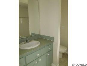 393 E Buckingham Dr, Lecanto, FL 34461 photo 17