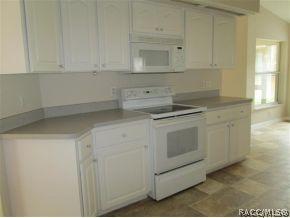 393 E Buckingham Dr, Lecanto, FL 34461 photo 7