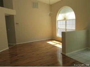 393 E Buckingham Dr, Lecanto, FL 34461 photo 3