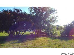 1160 N Hambletonian, Hernando, FL 34442 photo 3