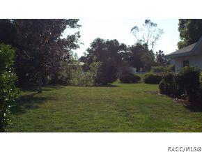 1160 N Hambletonian, Hernando, FL 34442 photo 2