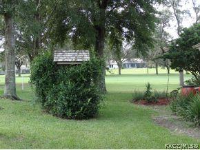 544 E Dakota Ct, Hernando, FL 34442 photo 18