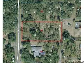 4001 N Indianhead, Hernando, FL 34442 photo 2