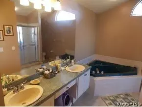 341 N Turkey Pine Loop, Lecanto, FL 34461 photo 10