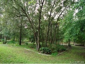 4130 N Forest Lake Dr, Hernando, FL 34442 photo 21