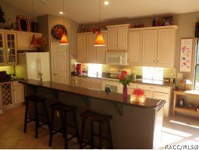 738 W Doerr Path, Hernando, FL 34442 photo 10