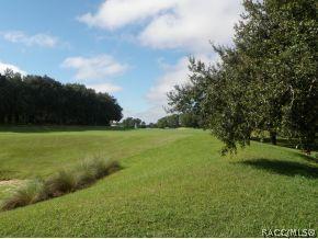 738 W Doerr Path, Hernando, FL 34442 photo 24