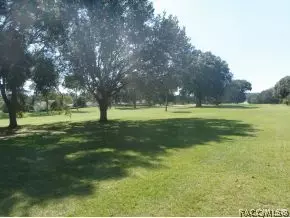 364 E Dakota Ct, Hernando, FL 34442 photo 8