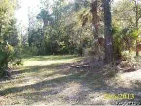 11037 N Andrion, Inglis, FL 34449 photo 2