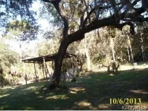 11037 N Andrion, Inglis, FL 34449 photo 3