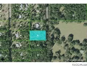 9296 S Hammock, Inverness, FL 34452 photo 1