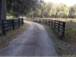18400 NW 150th Ave, Williston, FL 32696 photo 2