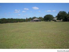 1091 E Hartford St, Hernando, FL 34442 photo 24