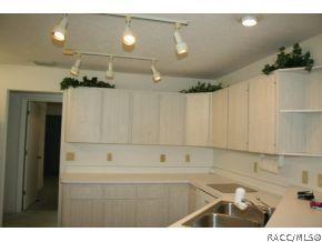 1091 E Hartford St, Hernando, FL 34442 photo 6