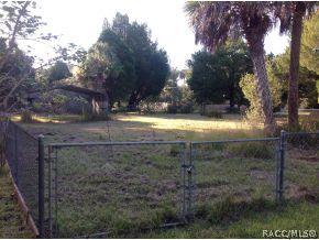 31 Palm Circle Dr, Inglis, FL 34449 photo 2