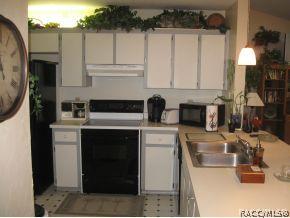 215 E Leon Loop, Hernando, FL 34442 photo 3