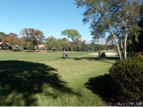 141 E Liberty St, Hernando, FL 34442 photo 24