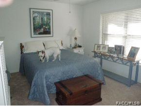 141 E Liberty St, Hernando, FL 34442 photo 20
