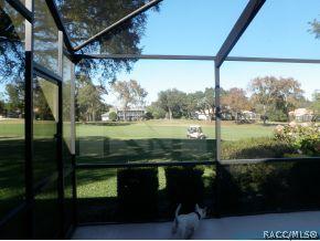 141 E Liberty St, Hernando, FL 34442 photo 23