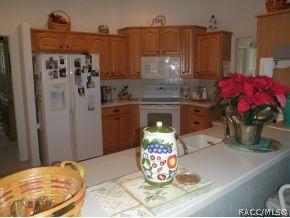 141 E Liberty St, Hernando, FL 34442 photo 7
