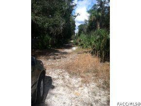 11077 N Clamdigger, Inglis, FL 34449 photo 4