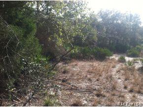 11077 N Clamdigger, Inglis, FL 34449 photo 3