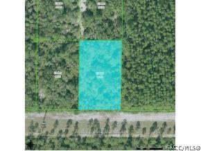 11041 N Clamdigger, Inglis, FL 34449 photo 1