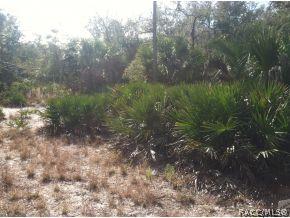 11041 N Clamdigger, Inglis, FL 34449 photo 2