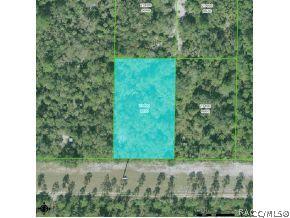 11049 N Clamdigger, Inglis, FL 34449 photo 1
