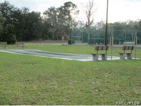 7170 N Grackle Pt, Hernando, FL 34442 photo 24