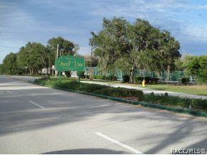 7170 N Grackle Pt, Hernando, FL 34442 photo 20