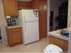 373 E Joshua, Hernando, FL 34442 photo 7