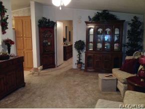 373 E Joshua, Hernando, FL 34442 photo 5