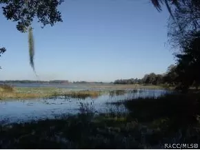 4085 E Parsons Point Rd, Hernando, FL 34442 photo 9
