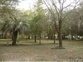 1292 E Bluebird Ct, Hernando, FL 34442 photo 16