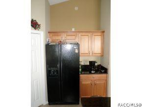 60 W Mickey Mantle, Hernando, FL 34442 photo 7