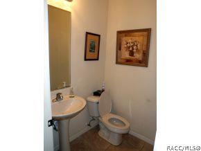 60 W Mickey Mantle, Hernando, FL 34442 photo 14