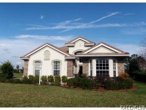 60 W Mickey Mantle, Hernando, FL 34442 photo 1