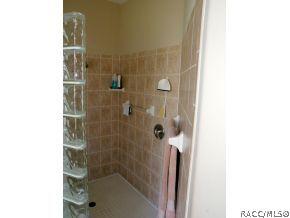 60 W Mickey Mantle, Hernando, FL 34442 photo 20