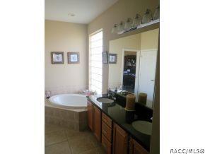 60 W Mickey Mantle, Hernando, FL 34442 photo 21
