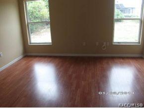 4228 Hoffman Ave, Spring Hill, FL 34606 photo 20