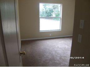 4228 Hoffman Ave, Spring Hill, FL 34606 photo 14