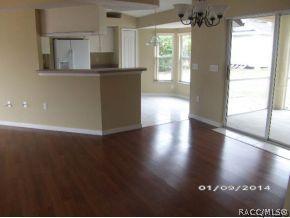 4228 Hoffman Ave, Spring Hill, FL 34606 photo 22
