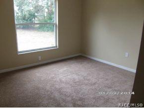 4228 Hoffman Ave, Spring Hill, FL 34606 photo 10