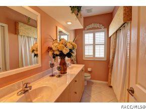 430 W Fenway Dr, Hernando, FL 34442 photo 18