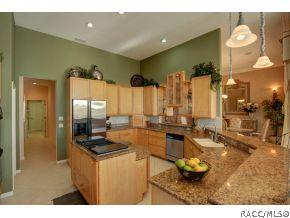 430 W Fenway Dr, Hernando, FL 34442 photo 8