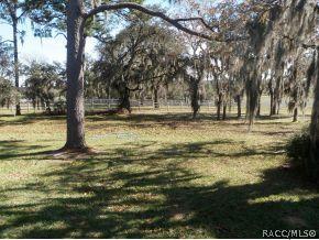 1246 E Liberty St, Hernando, FL 34442 photo 23
