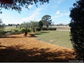 1246 E Liberty St, Hernando, FL 34442 photo 22