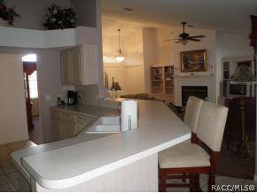 785 E Keller Ct, Hernando, FL 34442 photo 8